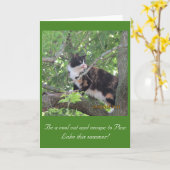 Stad kat houden van Pine Lake bomen! Kaart (Gele Bloem)