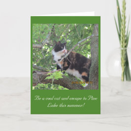 Stad kat houden van Pine Lake bomen! Kaart