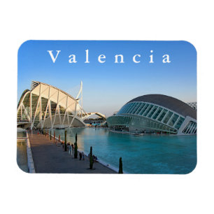 Stad Kunst en Wetenschappen. Magneet