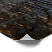 STAD LOWELL SUN BOUW POSTER (Hoek)