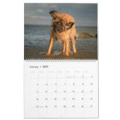 Stad naar land Leonbergers Kalender (Jan 2027)