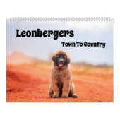 Stad naar land Leonbergers Kalender (Hoes)