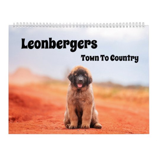 Stad naar land Leonbergers Kalender (Hoes)