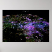 Stad op de rand van eeuwig Poster (Voorkant)