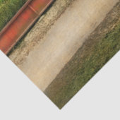 Stad - Palm Beach FL - Palm Beach Florida 1905 Tissuepapier (Detail)