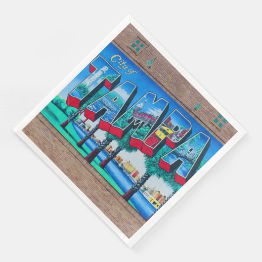 Stad Tampa, Florida Servet (Hoek)