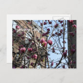 Stadbloemen Jersey Briefkaart (Voorkant / Achterkant)