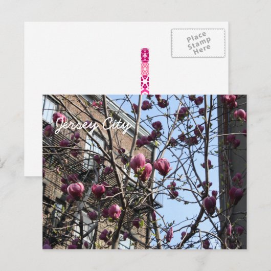 Stadbloemen Jersey Briefkaart (Voorkant / Achterkant)