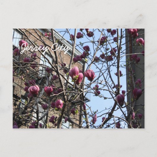 Stadbloemen Jersey Briefkaart (Voorkant)