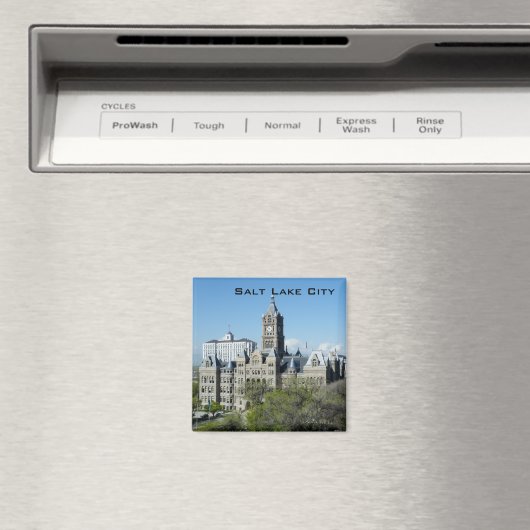 Stadhuis Magneet (Insitu (Vaatwasser))