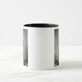 Stadium gewijd aan de god Haddad-Yishi (basalt) Mok (Midden)