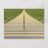 Stadiumtrap tussen rijen groene stoelen briefkaart (Voorkant)