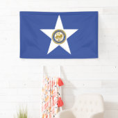Stads vlag van Houston (Texas) Spandoek (Insitu)