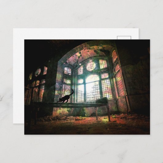 Stadsbederf Oud Glas in lood Zwarte Kat Briefkaart (Voorkant / Achterkant)