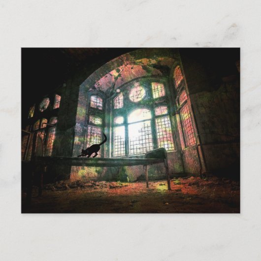 Stadsbederf Oud Glas in lood Zwarte Kat Briefkaart (Voorkant)