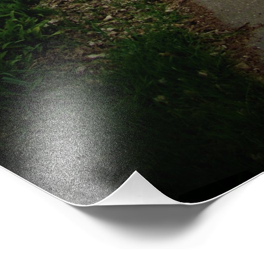 "Stadsbounty" Foto Afdruk (Hoek)