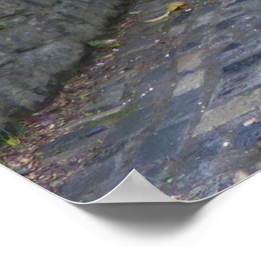 Stadscentrum architectuur poster (Hoek)