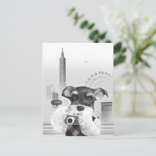 Stadsfotograaf: Schnauzer in Taipei City Aankondigingskaart