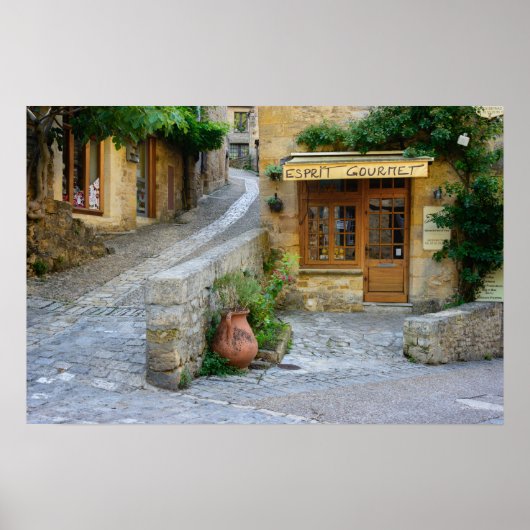 Stadsgezicht in Dordogne, Frankrijk poster (Voorkant)