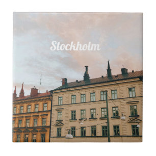 Stadsgezicht Stockholm Södermalm Tegeltje