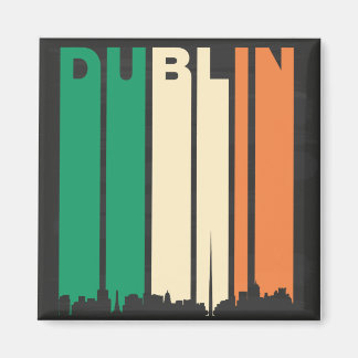 stadsgezicht van Dublin Magneet