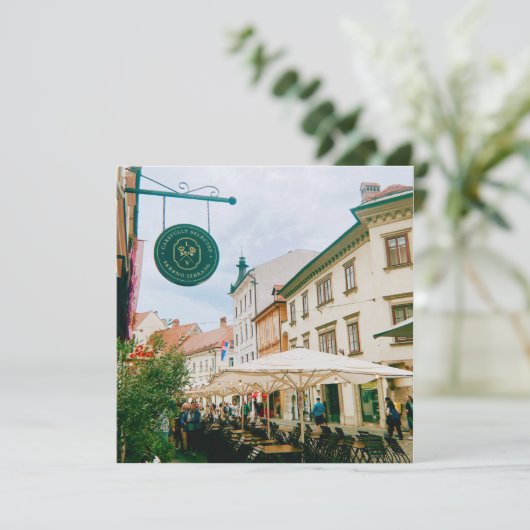 stadsgezicht van Ljubljana (Staand voorkant)