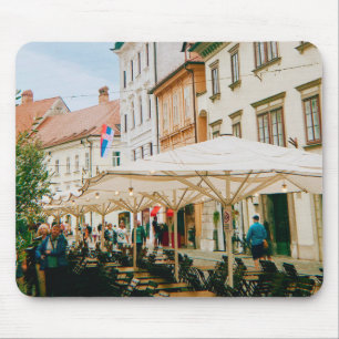 stadsgezicht van Ljubljana Muismat