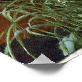 stadsgras poster (Hoek)