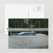 Stadskat Brisbane Briefkaart (Voorkant / Achterkant)