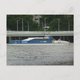 Stadskat Brisbane Briefkaart