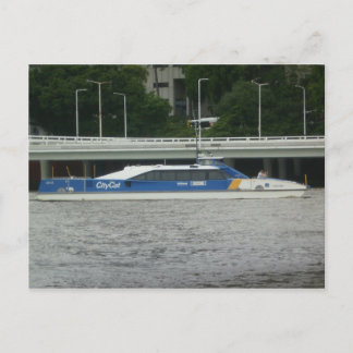 Stadskat Brisbane Briefkaart