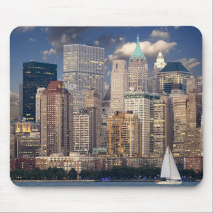 Stadskyline in New York Muismat