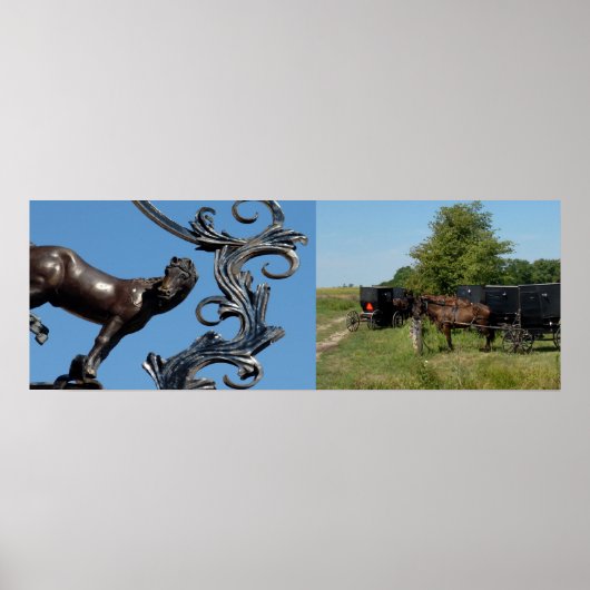 Stadspaarden, landpaarden poster (Voorkant)