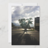 Stadsstructuur Aankondiging (Voorkant)