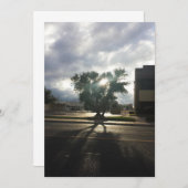 Stadsstructuur Aankondiging (Voorkant / Achterkant)