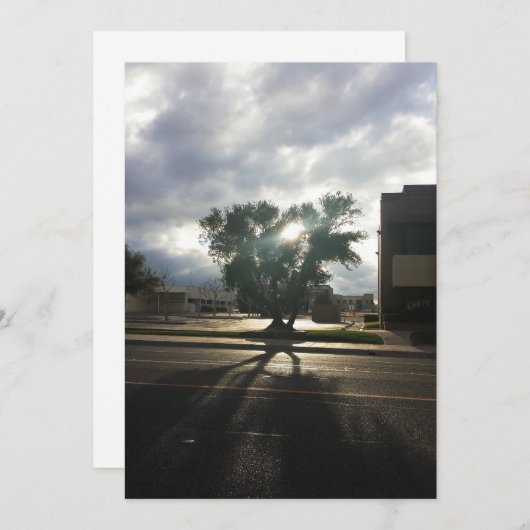 Stadsstructuur Aankondiging (Voorkant / Achterkant)