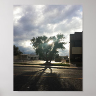 Stadsstructuur Poster