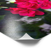 Stadsterras Foto Afdruk (Hoek)