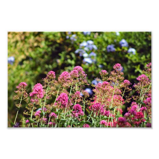 Stadsterras Foto Afdruk (Voorkant)