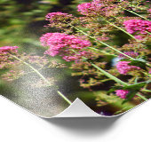 Stadsterras Foto Afdruk (Hoek)