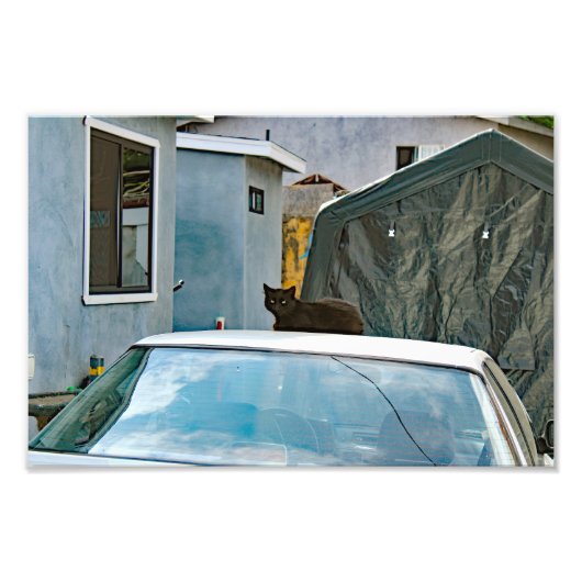 Stadsterras Foto Afdruk (Voorkant)