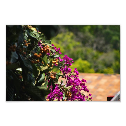 Stadsterras Foto Afdruk (Voorkant)