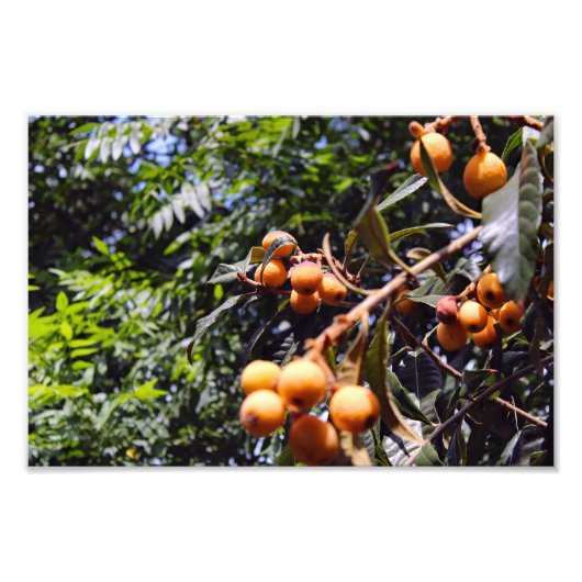 Stadsterras Foto Afdruk (Voorkant)