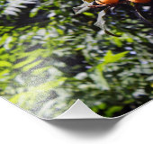 Stadsterras Foto Afdruk (Hoek)