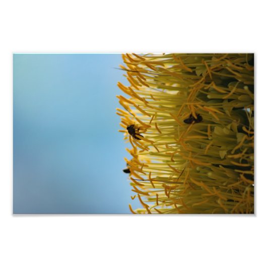 Stadsterras Foto Afdruk (Voorkant)