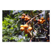 Stadsterras Foto Afdruk (Voorkant)