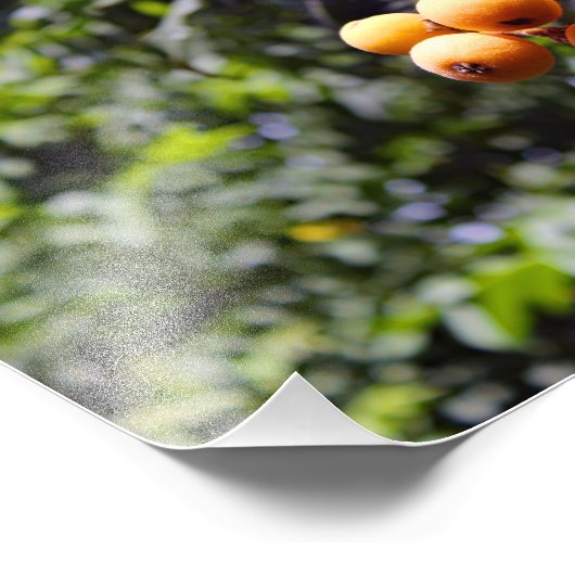 Stadsterras Foto Afdruk (Hoek)