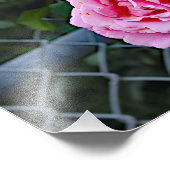 Stadsterras Foto Afdruk (Hoek)