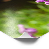 Stadsterras Foto Afdruk (Hoek)