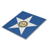 Stadsvlag Houston Tegeltje (Zijkant)